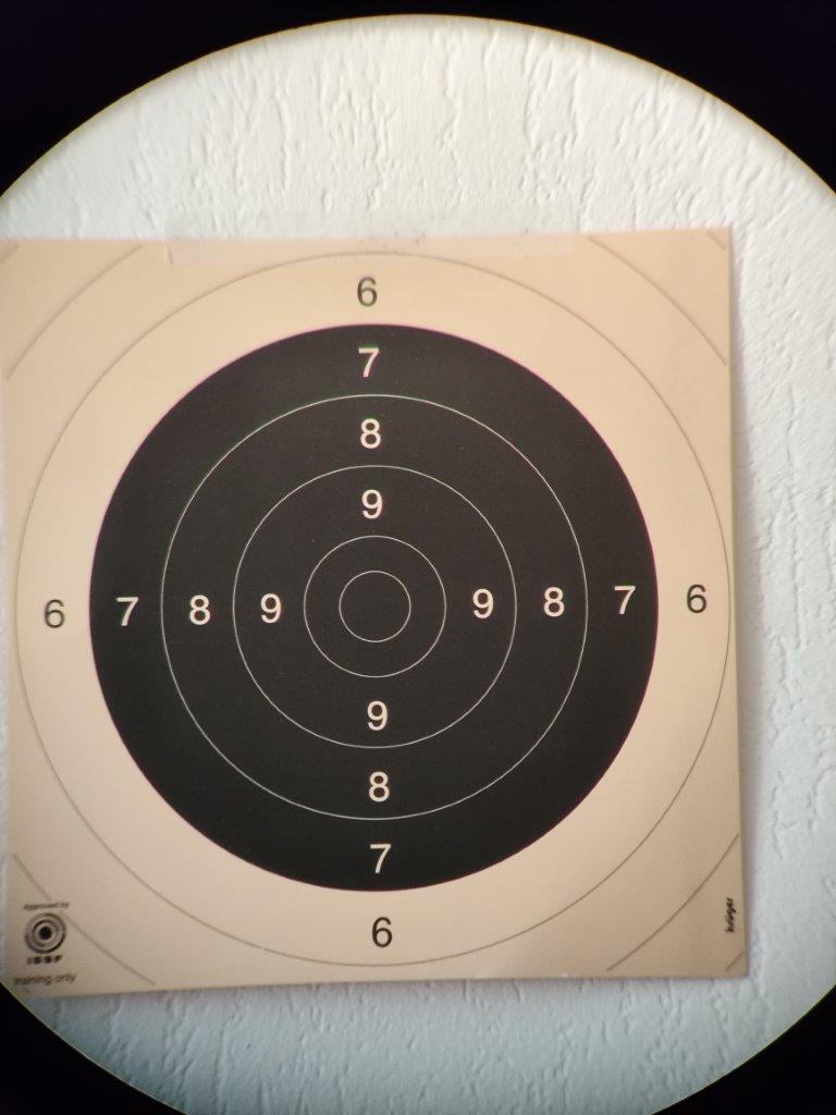 Shot target after a series